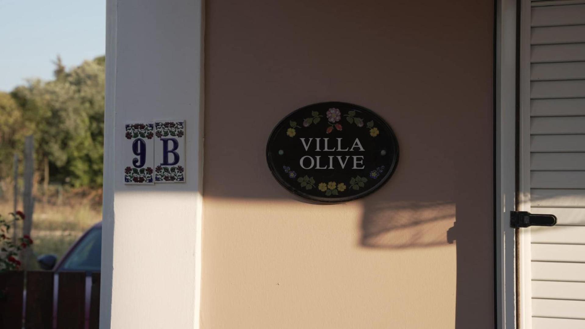 The Olive Grove Villa Plános Eksteriør billede
